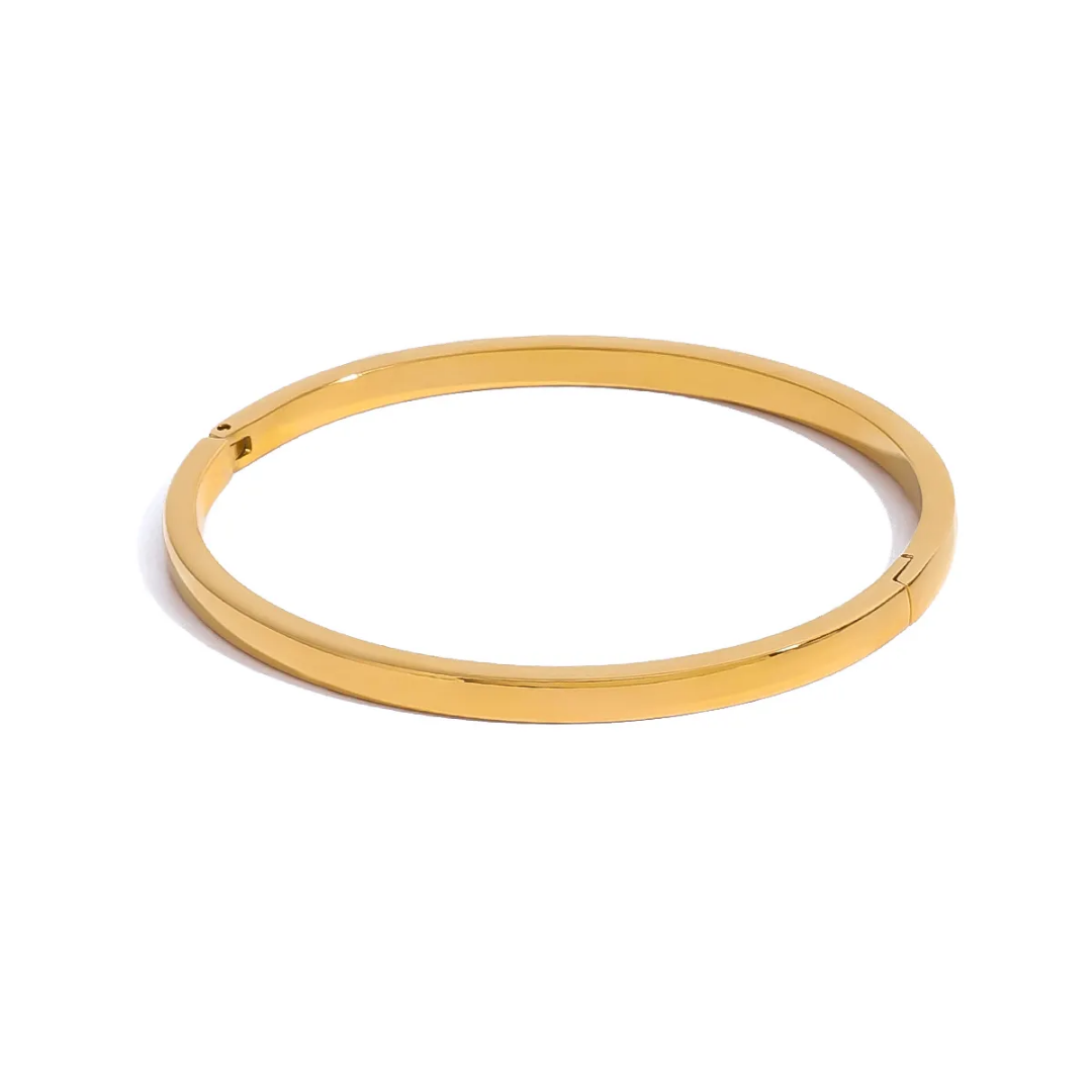 Sleek Radiance Bangle Bracelet