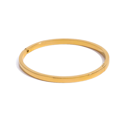 Sleek Radiance Bangle Bracelet